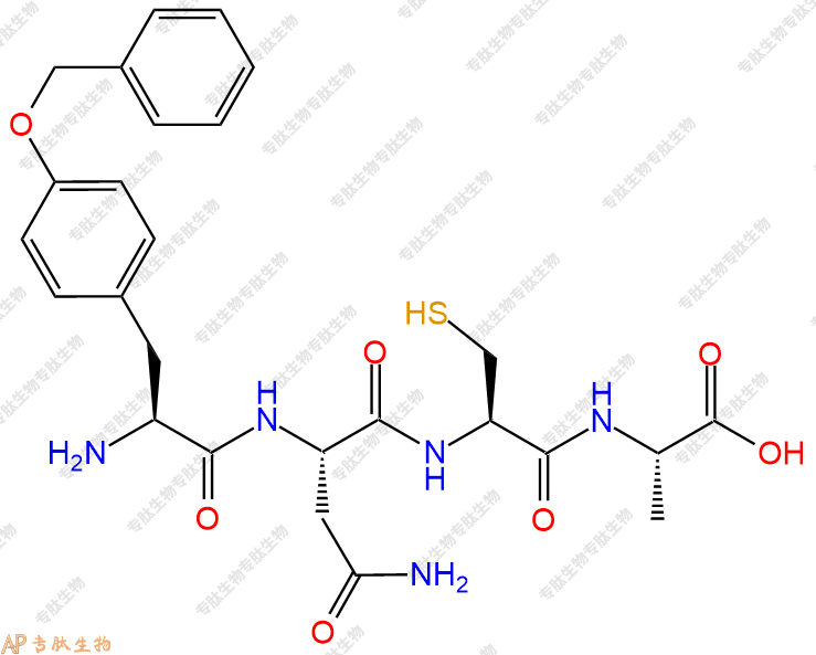 專肽生物產(chǎn)品Tyr(bzl)-NCA