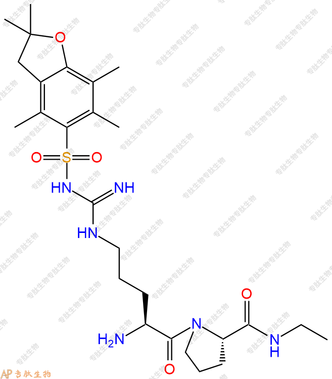 專(zhuān)肽生物產(chǎn)品H2N-Arg(Pbf)-Pro-NHEt