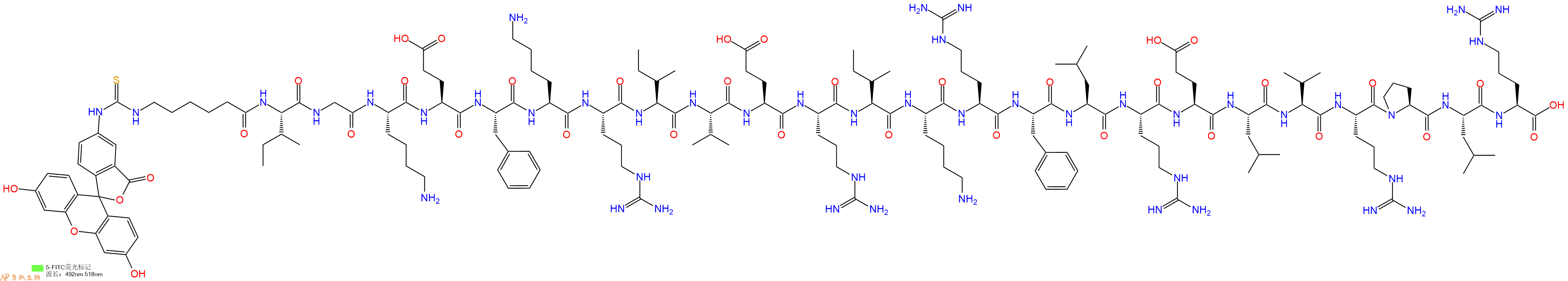 專肽生物產(chǎn)品5FITC-Ahx-Ile-Gly-Lys-Glu-Phe-Lys-Arg-Ile-Val-Glu-