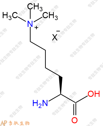 專肽生物產(chǎn)品H2N-Lys(Me)3-COOH