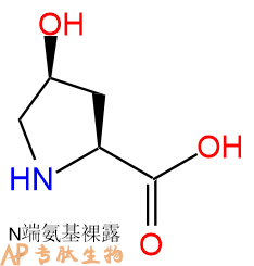 專肽生物產(chǎn)品H2N-Hyp-COOH