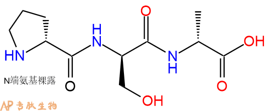 專肽生物產(chǎn)品H2N-DPro-DSer-DAla-COOH