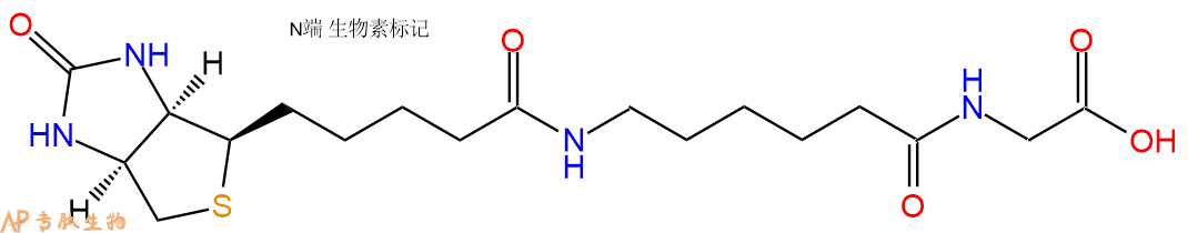 專肽生物產(chǎn)品Biotin-Ahx-Gly-COOH