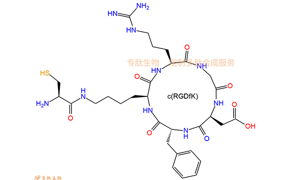 專肽生物產(chǎn)品c(RGD)環(huán)肽：cyclo{RGDfK(Cys)}、環(huán)狀多肽c(RGDfK)-半胱氨酸、Cys-cyclo(RGDfK)