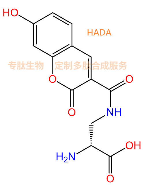 專肽生物產(chǎn)品香豆素標(biāo)記肽HADA、(D)Dap(7-羥基香豆素-3- 羧酸)