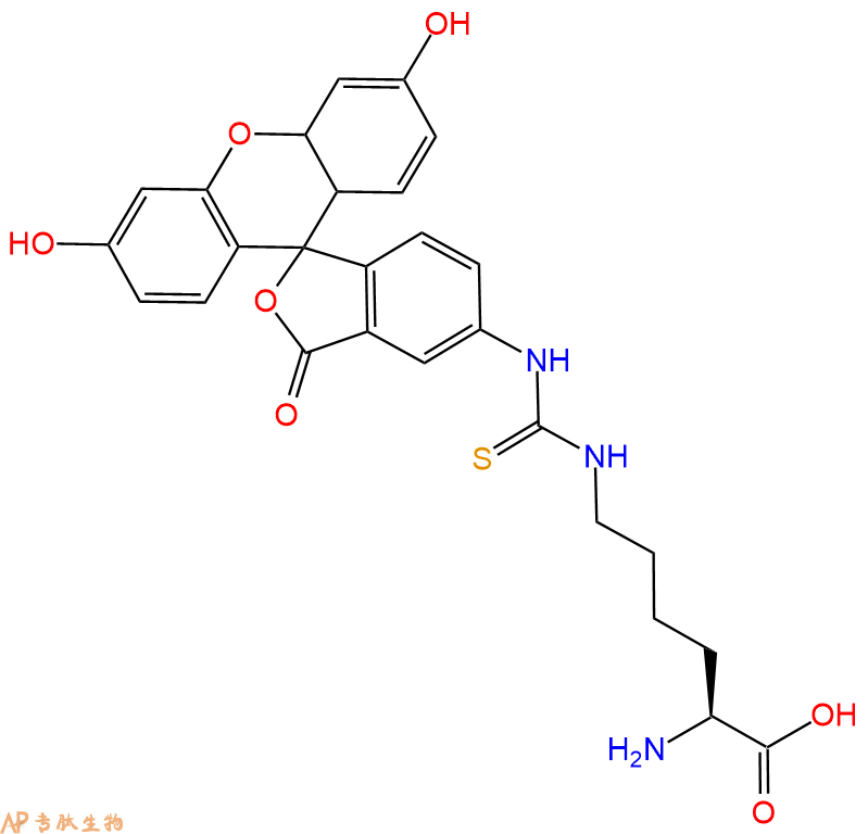 專肽生物產(chǎn)品H2N-Lys(Fitc)-COOH