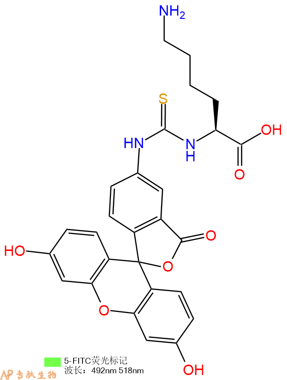 專肽生物產(chǎn)品5FITC-Lys-COOH