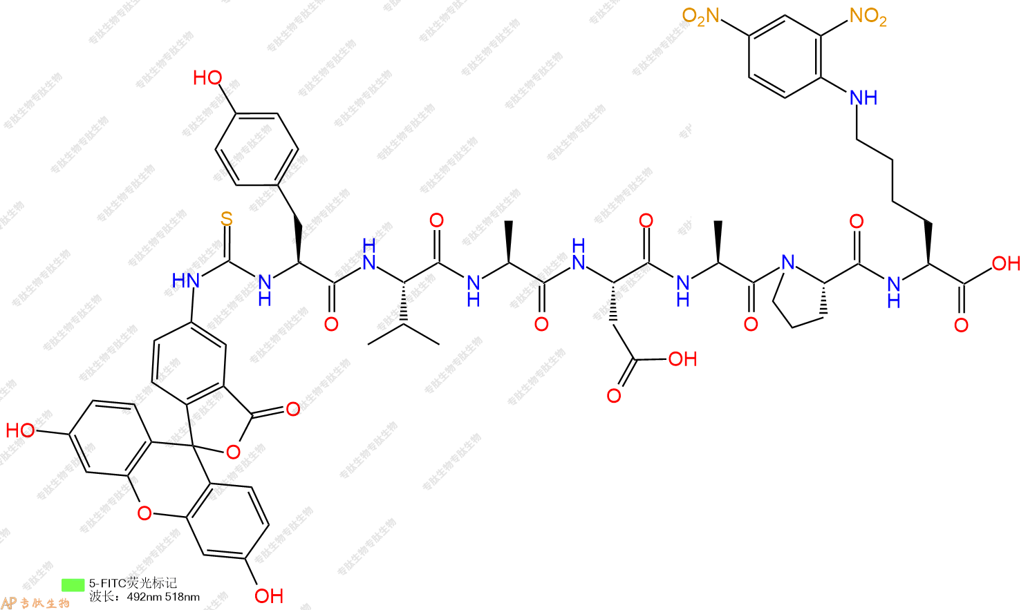 專肽生物產(chǎn)品5FITC-Tyr-Val-Ala-Asp-Ala-Pro-Lys(Dnp)-COOH