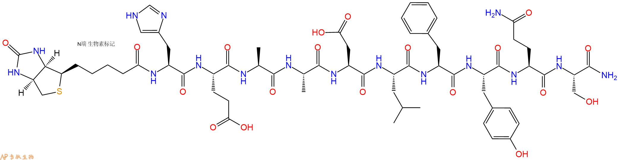 專肽生物產(chǎn)品Biotin-His-Glu-Ala-Ala-Asp-Leu-Phe-Tyr-Gln-Ser-NH2