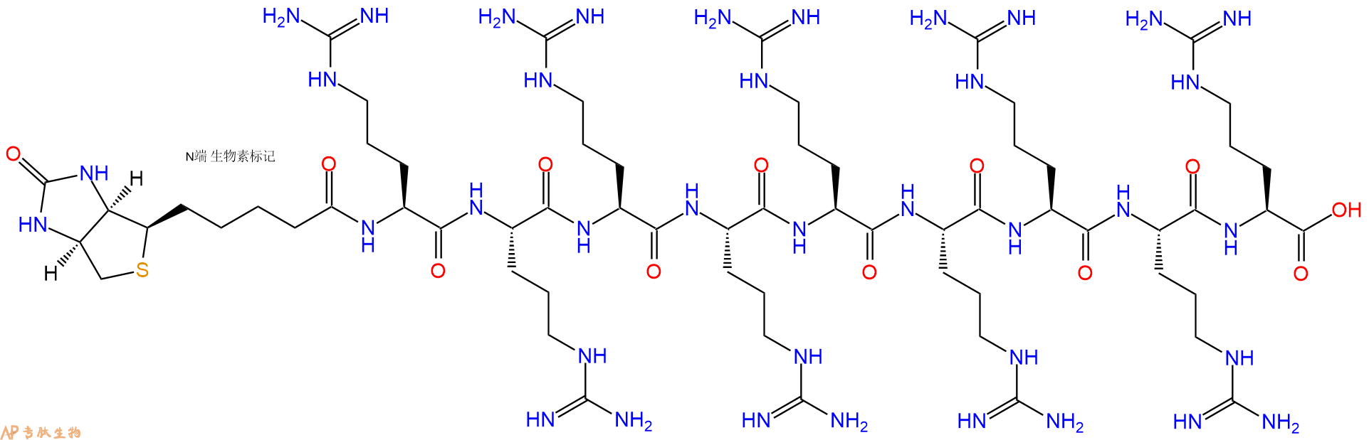 專肽生物產(chǎn)品Biotin-Arg-Arg-Arg-Arg-Arg-Arg-Arg-Arg-Arg-COOH