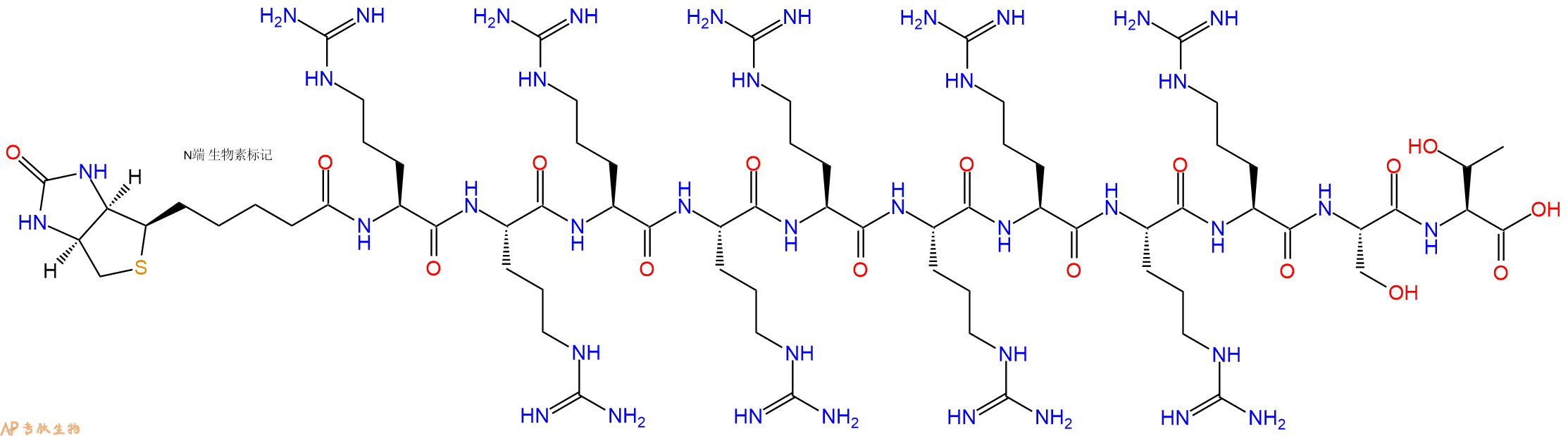 專肽生物產(chǎn)品Biotin-Arg-Arg-Arg-Arg-Arg-Arg-Arg-Arg-Arg-Ser-Thr