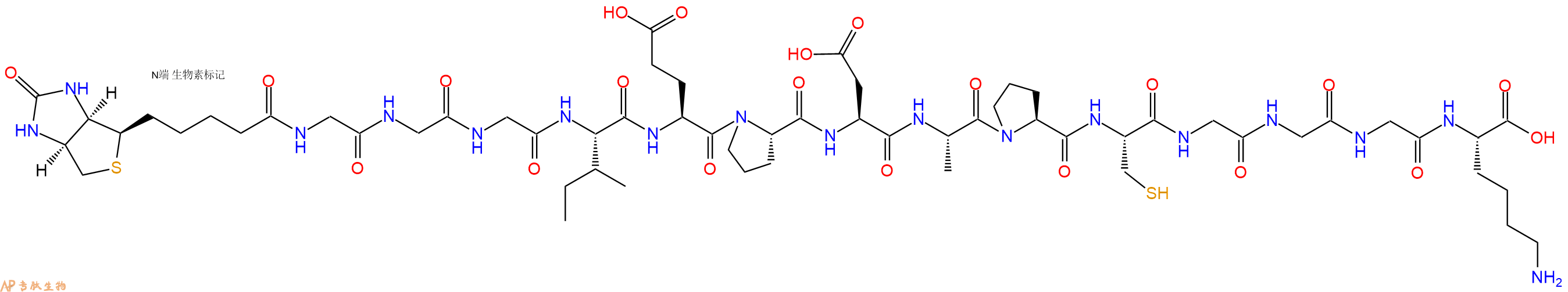 專肽生物產(chǎn)品Biotin-Gly-Gly-Gly-Ile-Glu-Pro-Asp-Ala-Pro-Cys-Gly