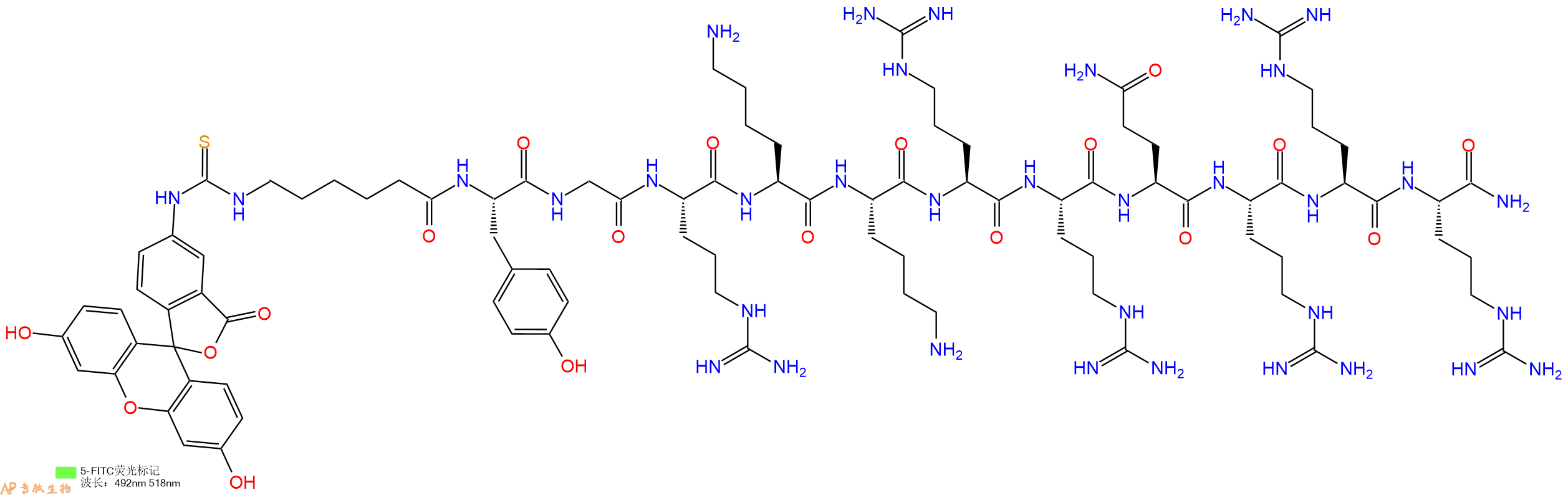 專肽生物產(chǎn)品FITC-LC-TAT (47-57)