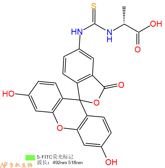 專肽生物產(chǎn)品5FITC-DAla-COOH