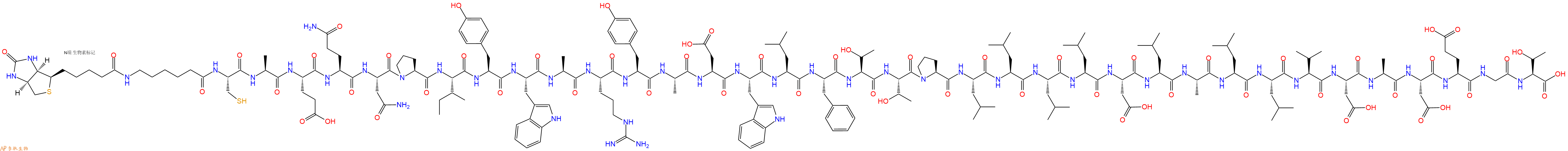 專肽生物產(chǎn)品Biotin-Ahx-Cys-Ala-Glu-Gln-Asn-Pro-Ile-Tyr-Trp-Ala-Arg-Tyr-Ala-Asp-Trp-Leu-Phe-Thr-Thr-Pro-Leu-Leu-Leu-Leu-Asp-Leu-Ala-Leu-Leu-Val-Asp-Ala-Asp-Glu-Gly-Thr-COOH