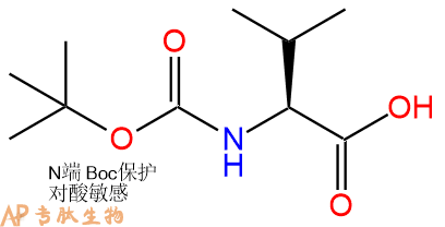 專(zhuān)肽生物產(chǎn)品Boc-Val-COOH