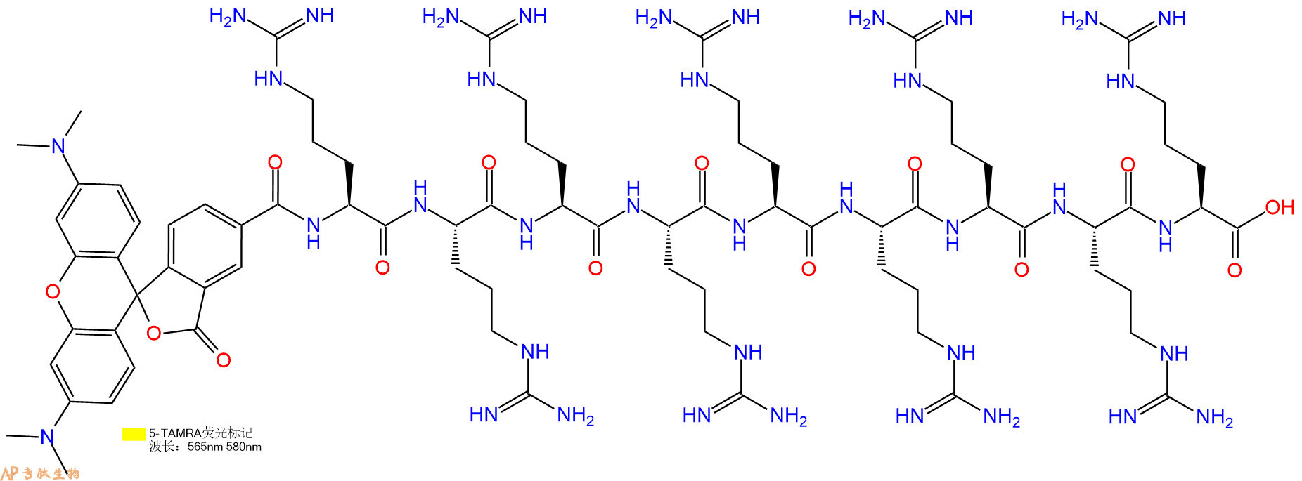 專肽生物產(chǎn)品(Arg)9 TAMRA - labeled