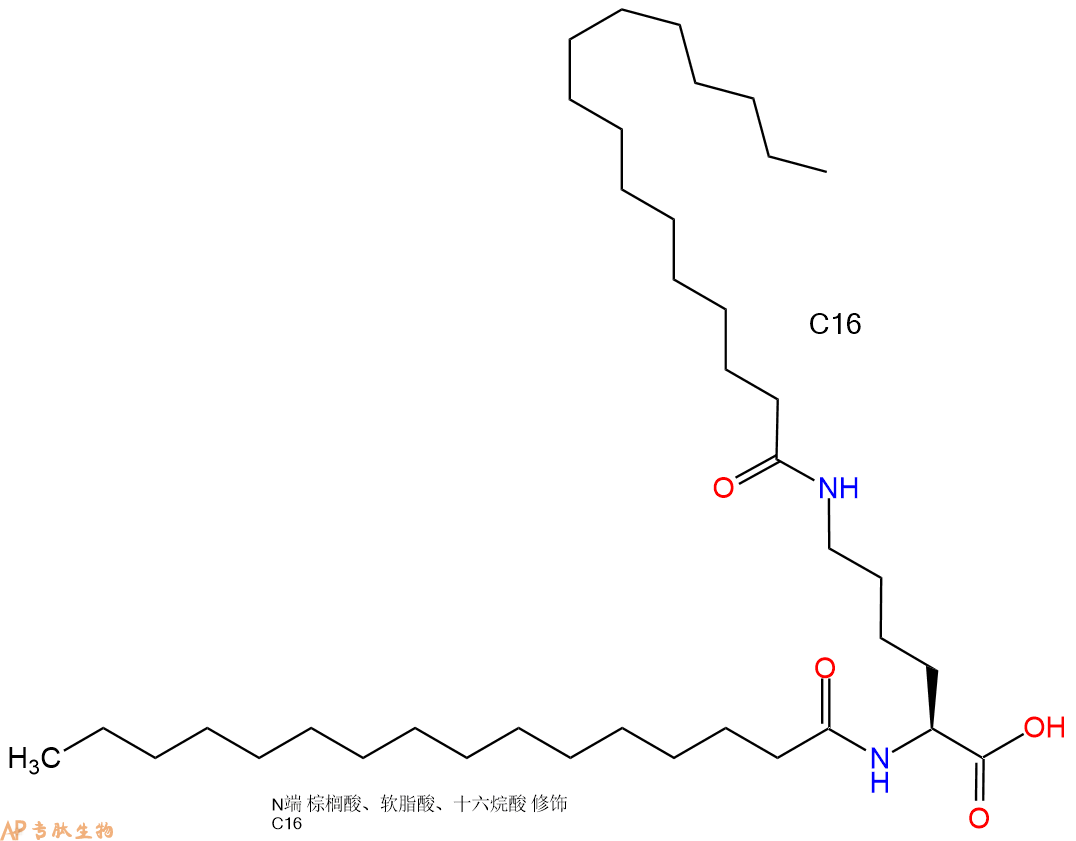 專肽生物產(chǎn)品Palmiticacid-Lys(C16)-COOH