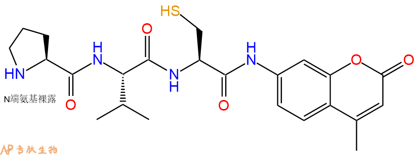 專(zhuān)肽生物產(chǎn)品H2N-Pro-Val-Cys-AMC