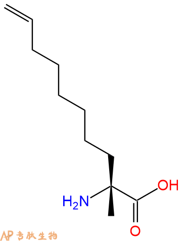 專肽生物產(chǎn)品H2N-R8-COOH