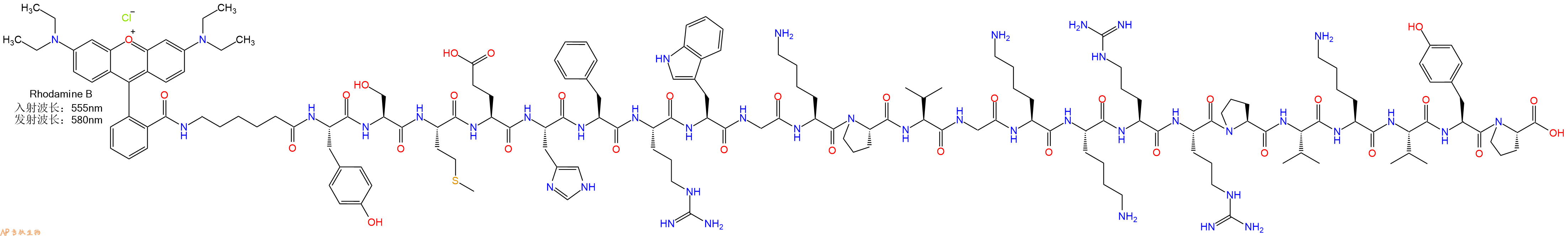 專肽生物產品RhodamineB-Ahx-Tyr-Ser-Met-Glu-His-Phe-Arg-Trp-Gly-Lys-Pro-Val-Gly-Lys-Lys-Arg-Arg-Pro-Val-Lys-Val-Tyr-Pro-COOH