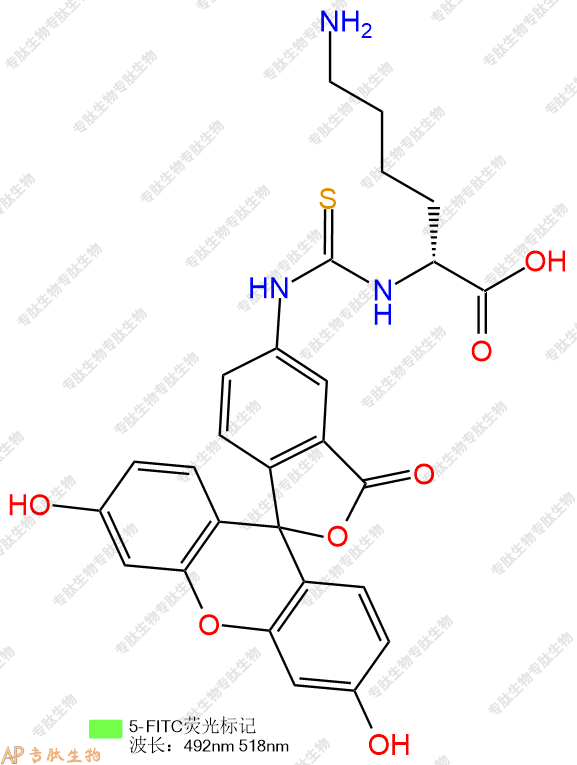 專肽生物產(chǎn)品5FITC-DLys-COOH