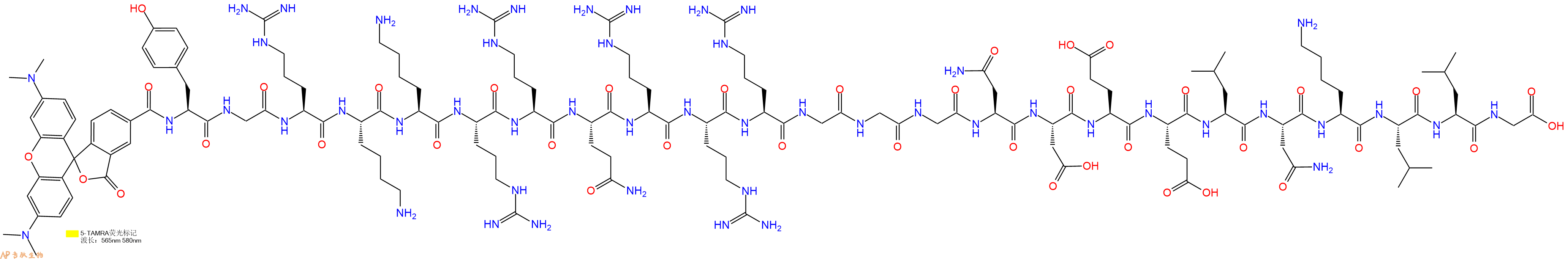 專肽生物產(chǎn)品5TAMRA-Tyr-Gly-Arg-Lys-Lys-Arg-Arg-Gln-Arg-Arg-Arg-Gly-Gly-Gly-Asn-Asp-Glu-Glu-Leu-Asn-Lys-Leu-Leu-Gly-COOH