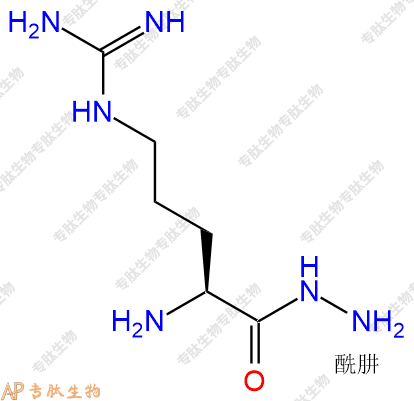 專肽生物產(chǎn)品H2N-Arg-Hyd