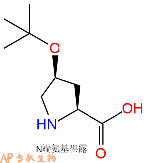 專肽生物產(chǎn)品H2N-Hyp(tBu)-COOH