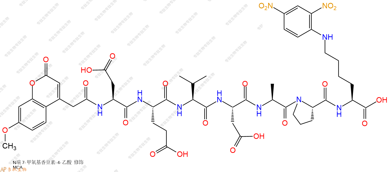 專肽生物產(chǎn)品MCA-Asp-Glu-Val-Asp-Ala-Pro-Lys(Dnp)-COOH189696-20-6