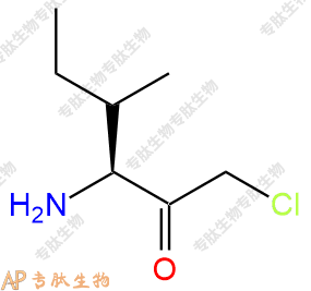 專肽生物產(chǎn)品H2N-Ile-CMK59079-44-6