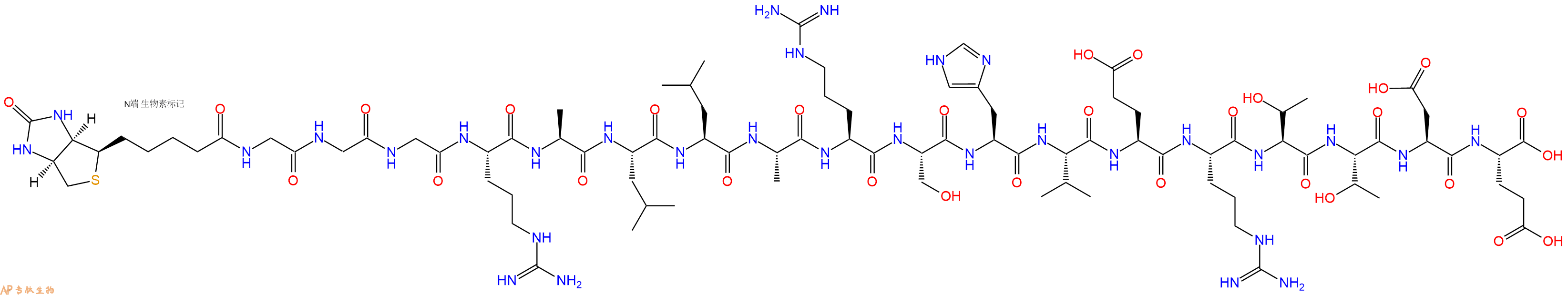 專肽生物產(chǎn)品Biotin-Gly-Gly-Gly-Arg-Ala-Leu-Leu-Ala-Arg-Ser-His-Val-Glu-Arg-Thr-Thr-Asp-Glu-COOH