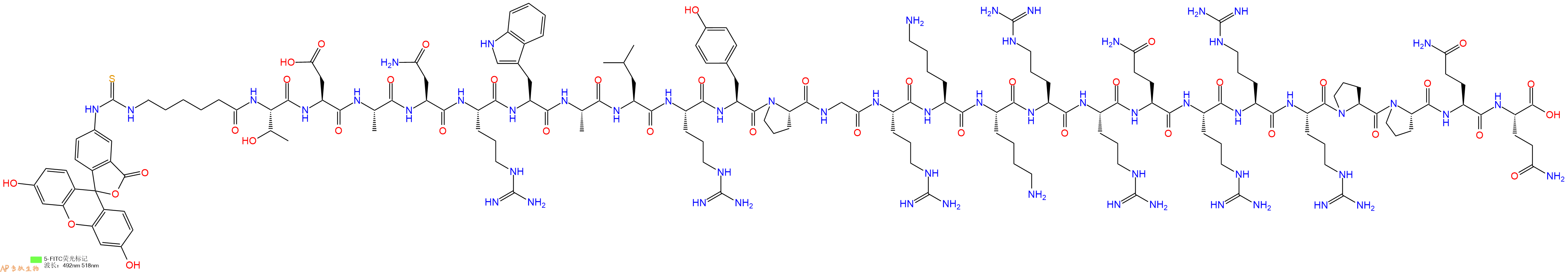 專肽生物產(chǎn)品5FITC-Ahx-Thr-Asp-Ala-Asn-Arg-Trp-Ala-Leu-Arg-Tyr-Pro-Gly-Arg-Lys-Lys-Arg-Arg-Gln-Arg-Arg-Arg-Pro-Pro-Gln-Gln-COOH