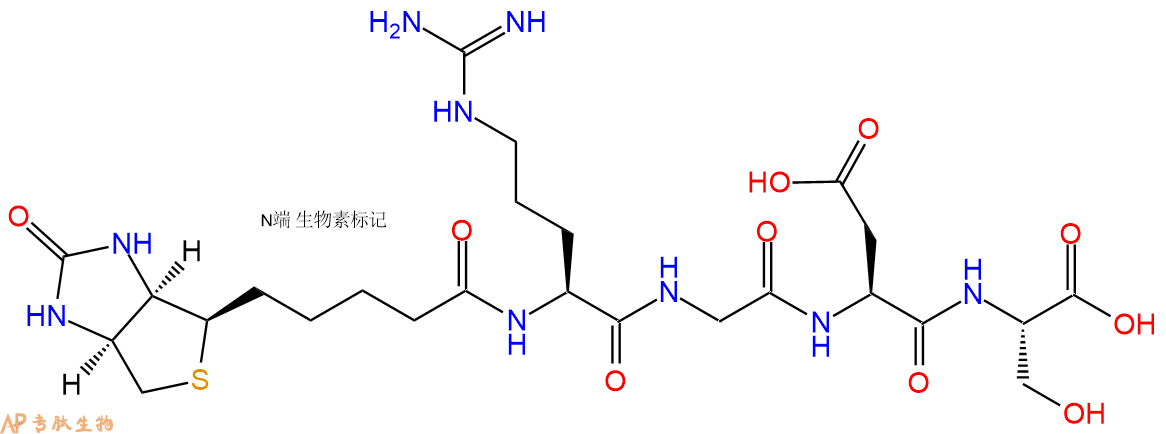 專肽生物產(chǎn)品Biotin-Arg-Gly-Asp-Ser-COOH