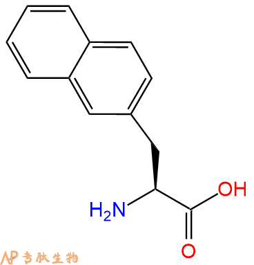 專肽生物產(chǎn)品H2N-Nal-COOH