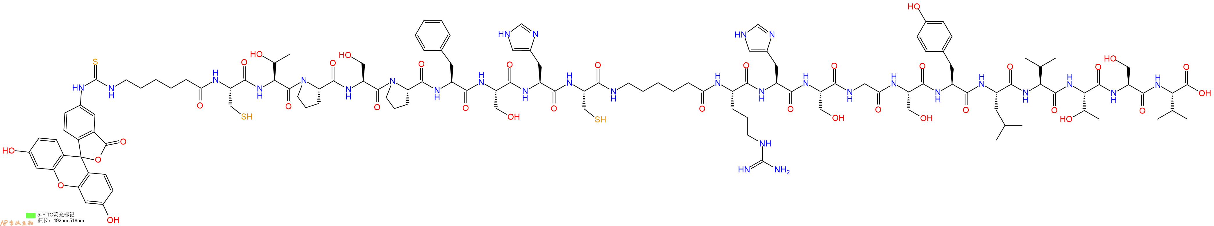 專肽生物產(chǎn)品5FITC-Ahx-Cys-Thr-Pro-Ser-Pro-Phe-Ser-His-Cys-Ahx-Arg-His-Ser-Gly-Ser-Tyr-Leu-Val-Thr-Ser-Val-COOH