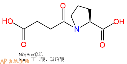 專肽生物產(chǎn)品Suc-Pro-COOH