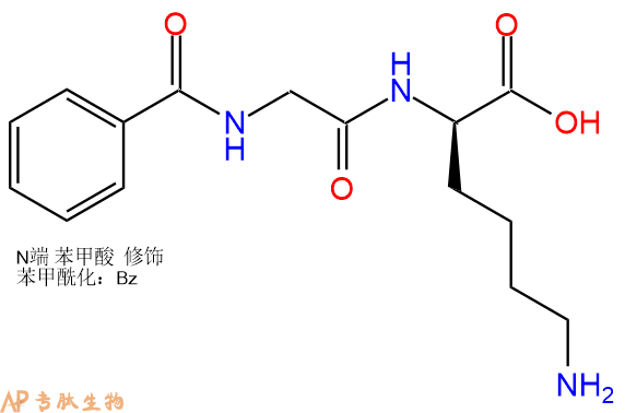 專肽生物產(chǎn)品Benzoyl-Gly-DLys-COOH 108392-04-7