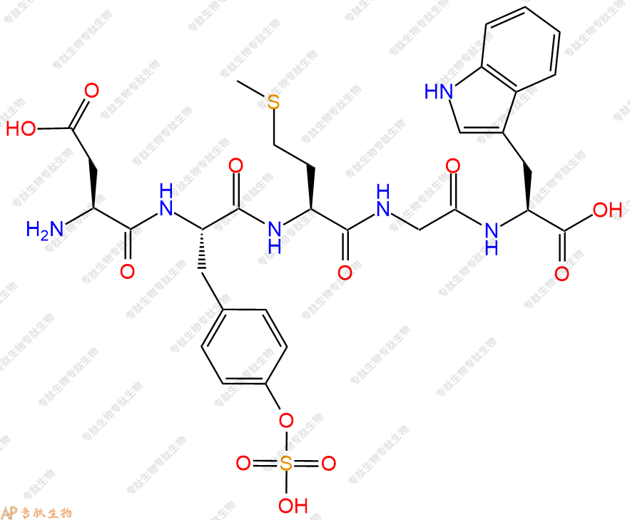 專肽生物產(chǎn)品H2N-Asp-Tyr(SO3H)-Met-Gly-Trp-COOH