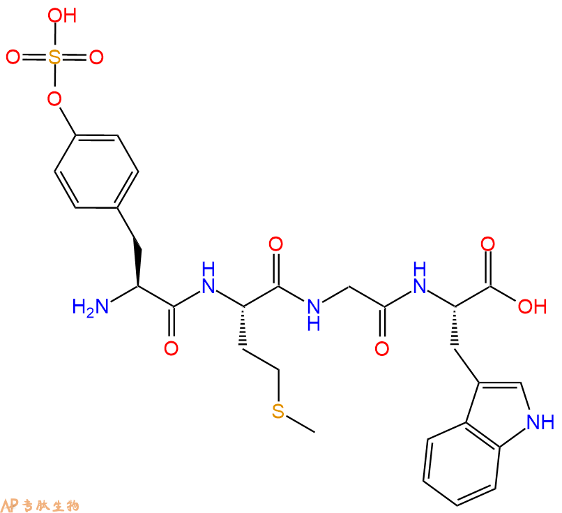 專肽生物產(chǎn)品H2N-Tyr(SO3H)-Met-Gly-Trp-COOH