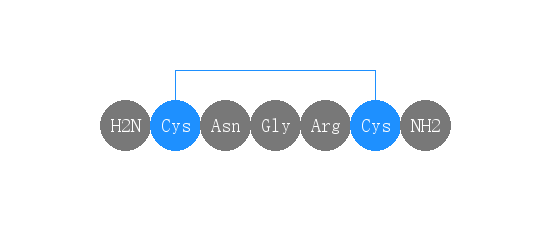 專肽生物產(chǎn)品NGR Peptide 3