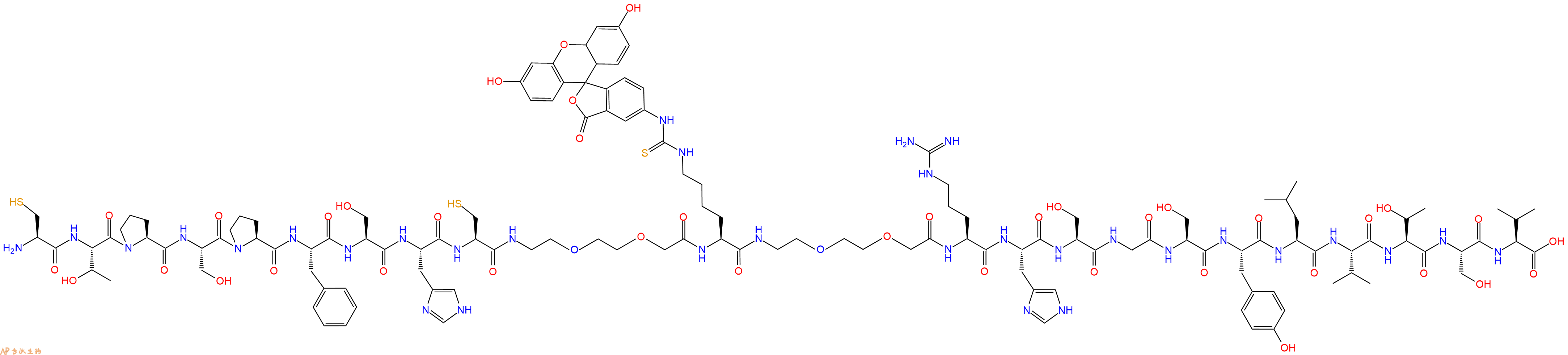 專肽生物產(chǎn)品Cys-Thr-Pro-Ser-Pro-Phe-Ser-His-Cys-PEG2-Lys(FITC)-PEG2-Arg-His-Ser-Gly-Ser-Tyr-Leu-Val-Thr-Ser-Val