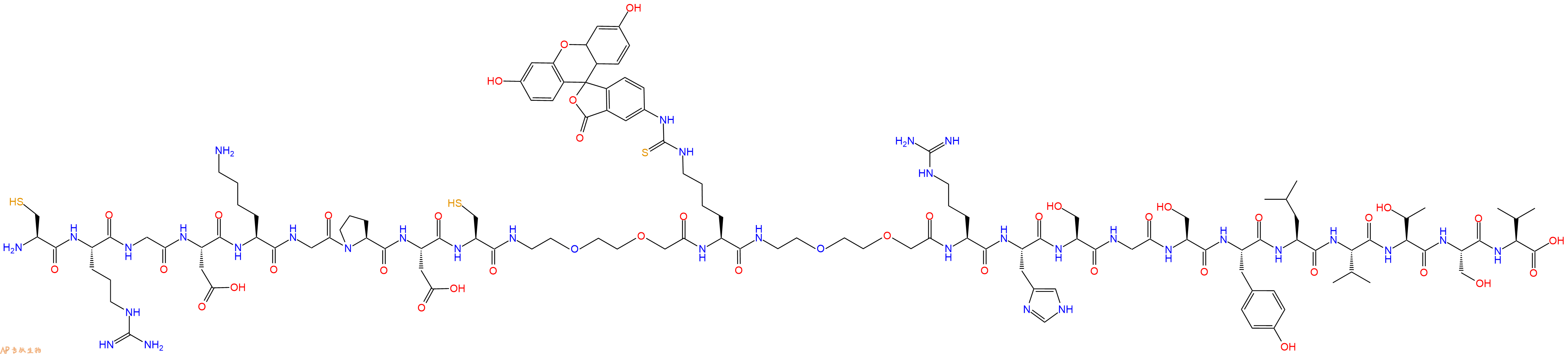 專(zhuān)肽生物產(chǎn)品Cys-Arg-Gly-Asp-Lys-Gly-Pro-Asp-Cys-PEG2-Lys(FITC)-PEG2-Arg-His-Ser-Gly-Ser-Tyr-Leu-Val-Thr-Ser-Val