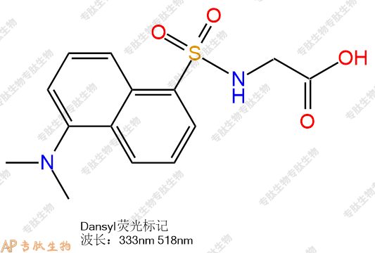 專肽生物產(chǎn)品Dansyl-Gly-COOH