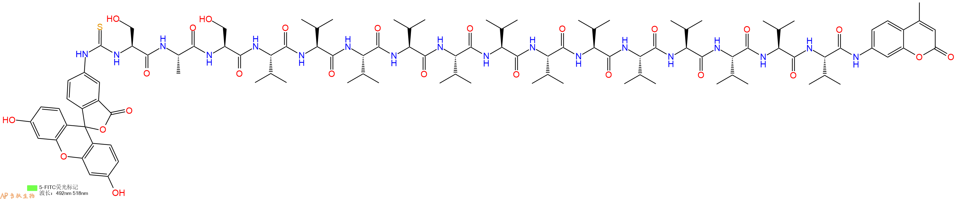 專肽生物產(chǎn)品5FITC-Ser-Ala-Ser-Val-Val-Val-Val-Val-Val-Val-Val-Val-Val-Val-Val-Val-AMC