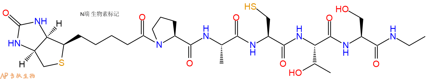 專肽生物產品Biotin-Pro-Ala-Cys-Thr-Ser-NHEt