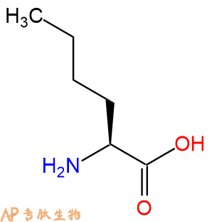 專肽生物產(chǎn)品H2N-Nle-COOH