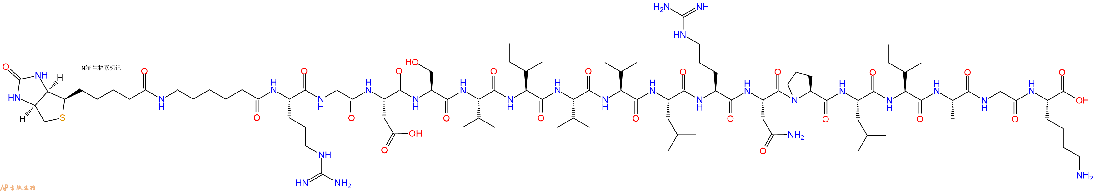 專肽生物產(chǎn)品Biotin-Ahx-Arg-Gly-Asp-Ser-Val-Ile-Val-Val-Leu-Arg-Asn-Pro-Leu-Ile-Ala-Gly-Lys-COOH