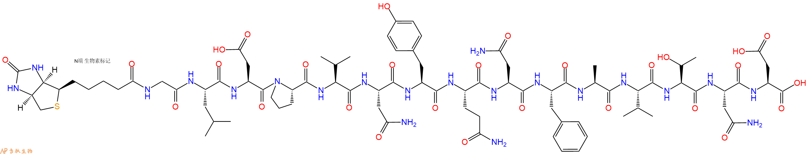 專肽生物產(chǎn)品Biotin-Gly-Leu-Asp-Pro-Val-Asn-Tyr-Gln-Asn-Phe-Ala-Val-Thr-Asn-Asp-OH