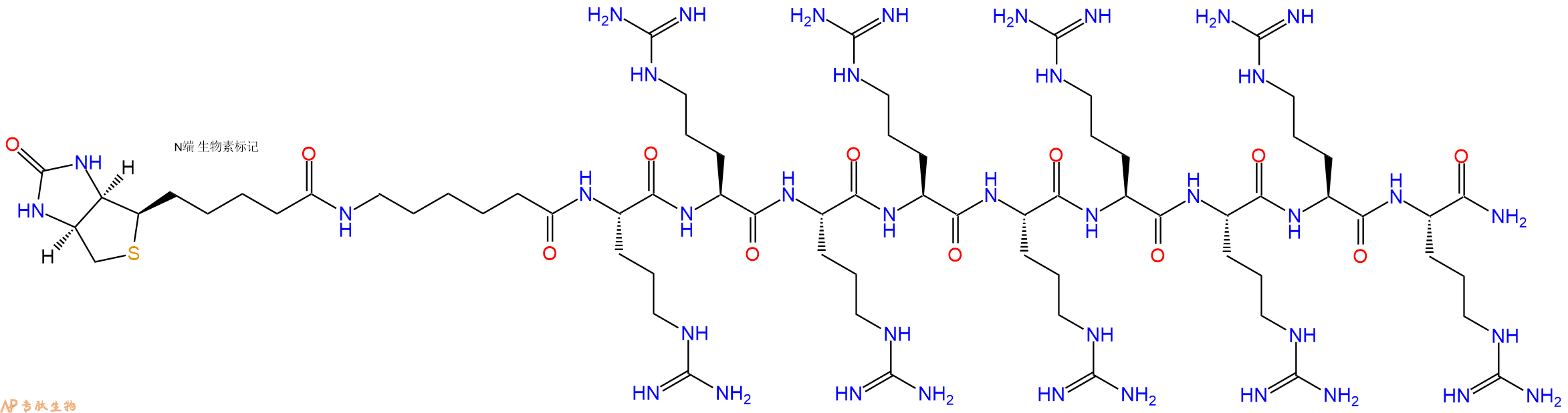 專肽生物產(chǎn)品細(xì)胞穿膜肽(Arg)9 biotin labeled